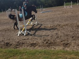 img_4425_web